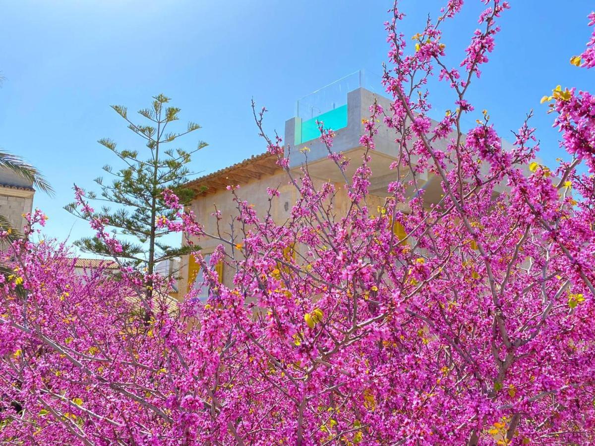 Hotel Boutique Can Pocovi Sant Llorenc Des Cardassar Dış mekan fotoğraf